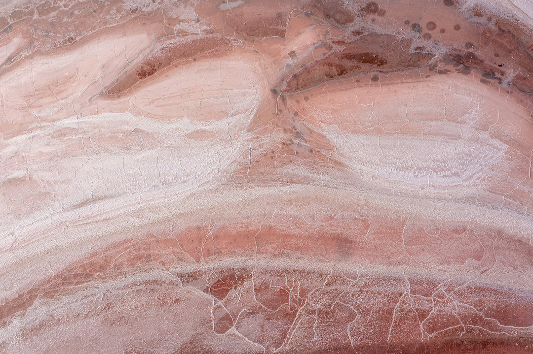 Desert Tracks