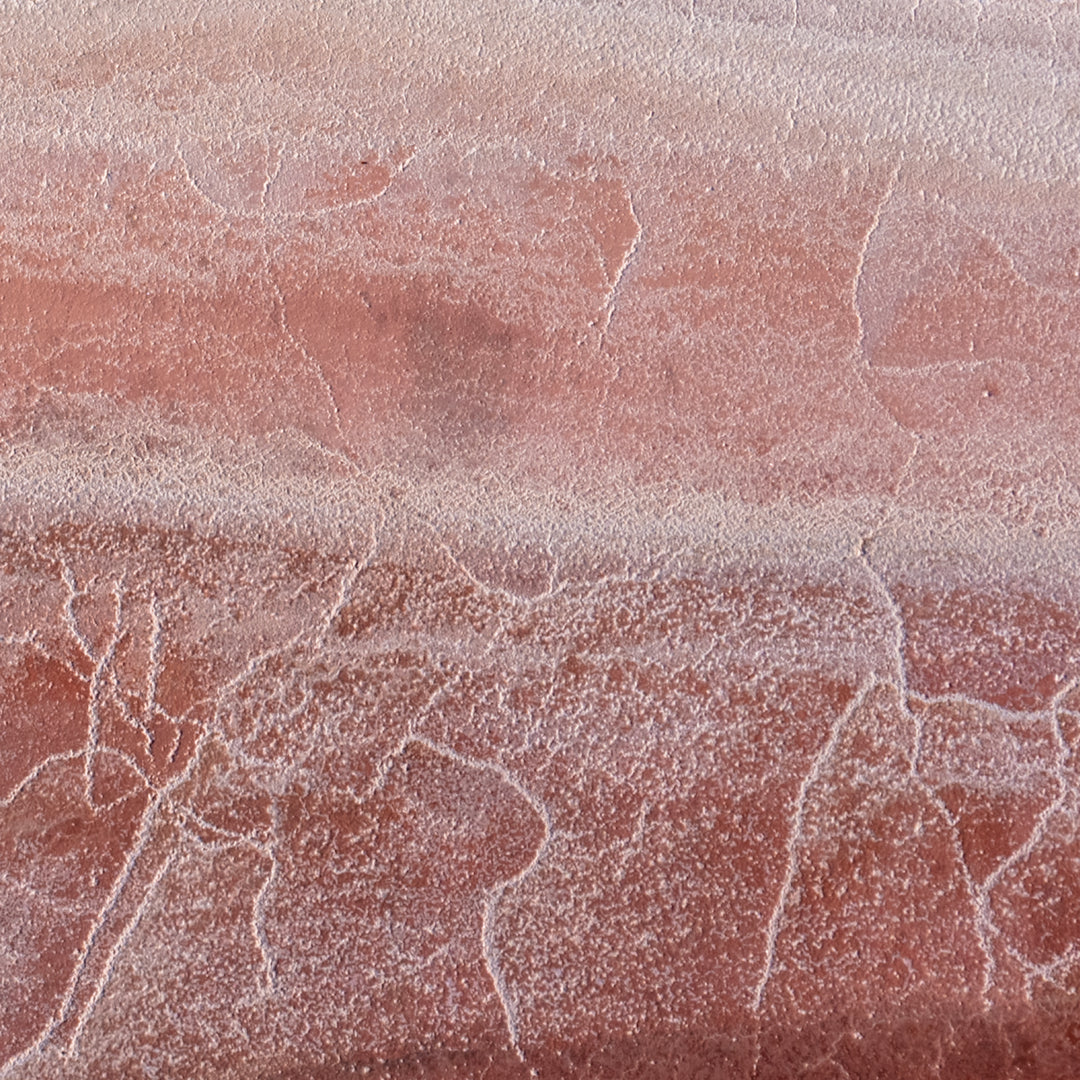 Desert Tracks